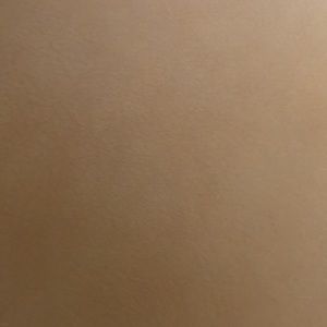 Meet your Posher, Leon